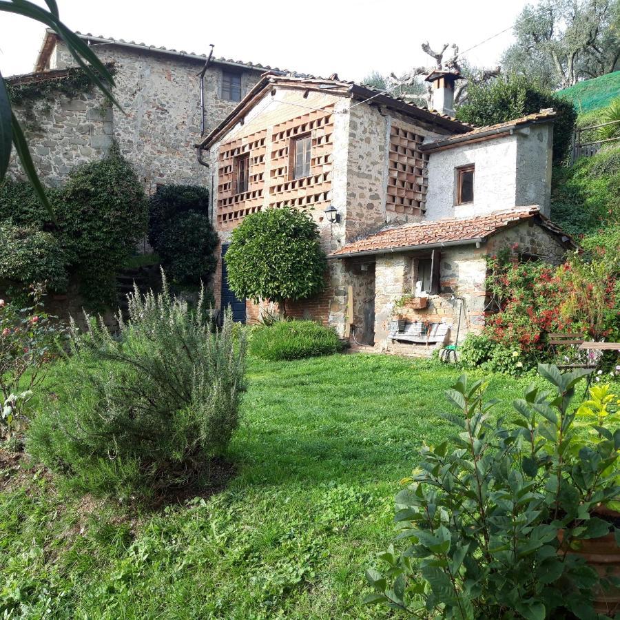 Orto Dei Bruchi Daire Collodi Dış mekan fotoğraf