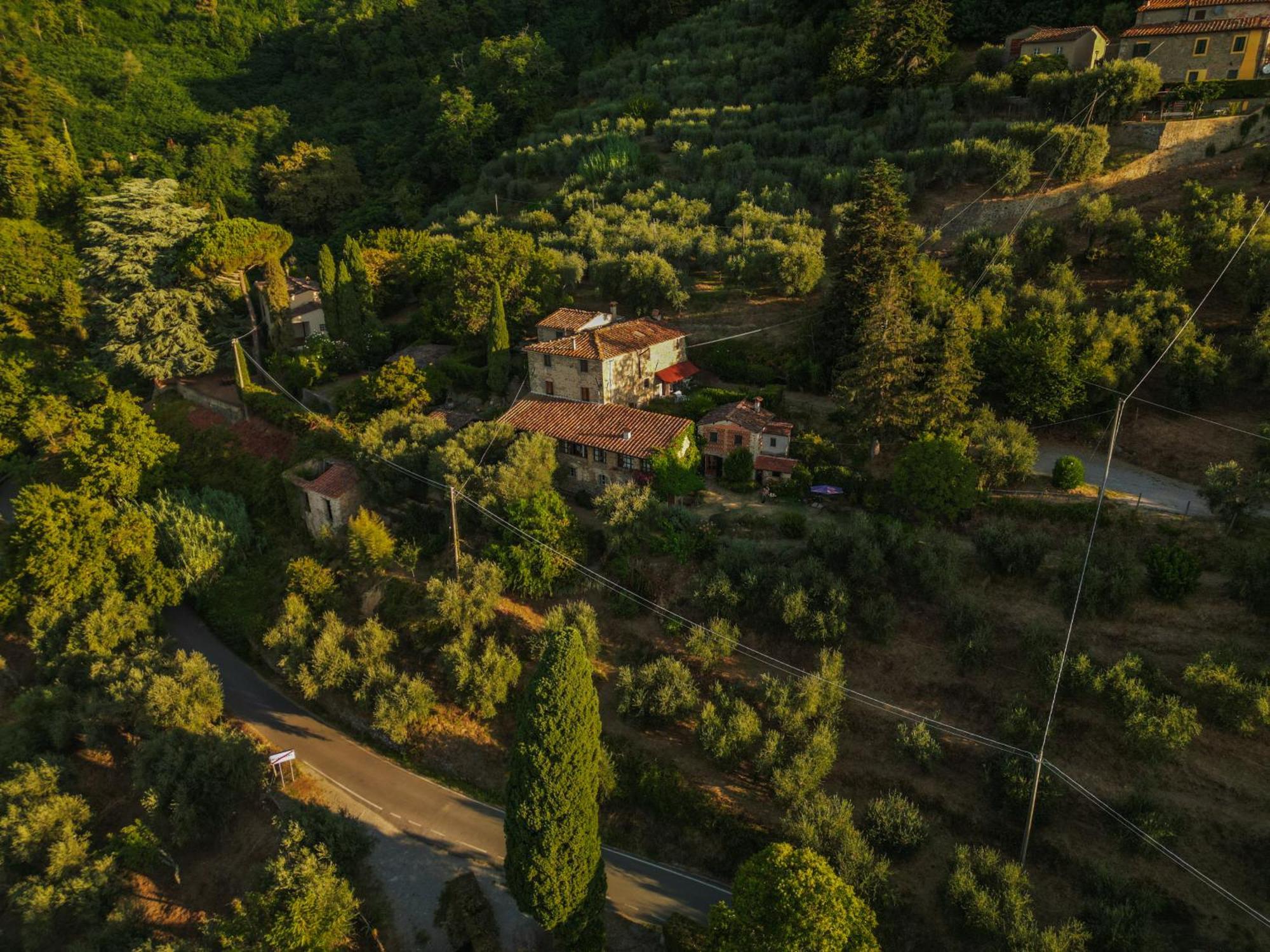 Orto Dei Bruchi Daire Collodi Dış mekan fotoğraf