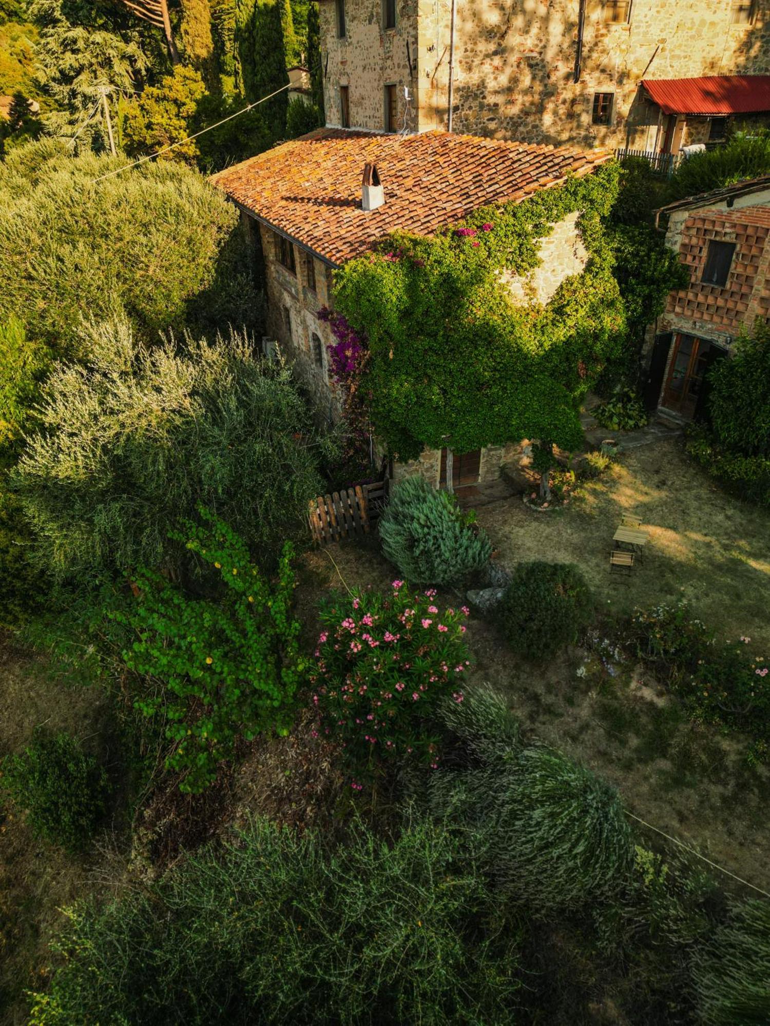 Orto Dei Bruchi Daire Collodi Dış mekan fotoğraf